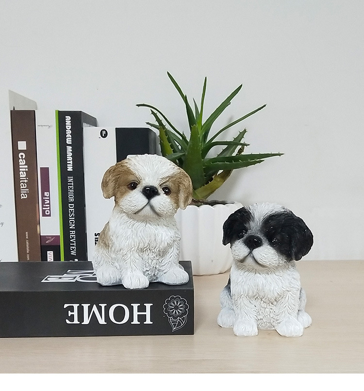 小西施幼犬_01.jpg