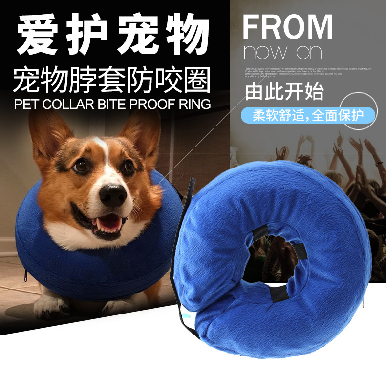 宠物围脖防咬圈_01.jpg
