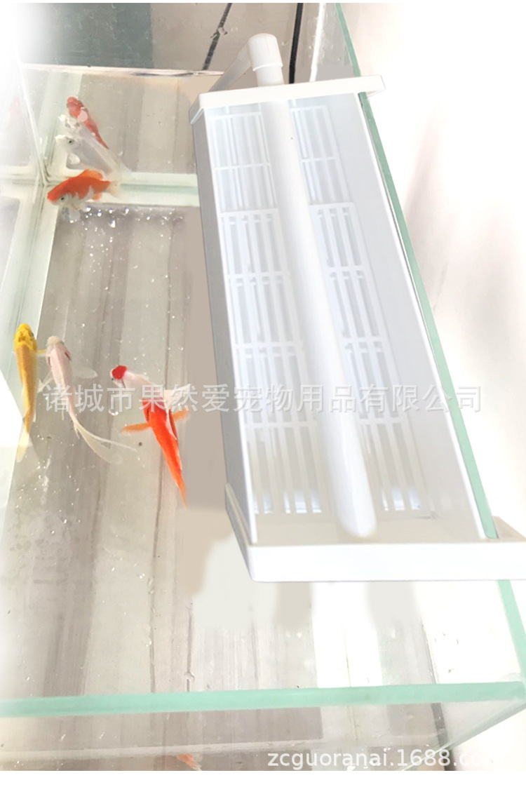 详情al 9_看图王.jpg