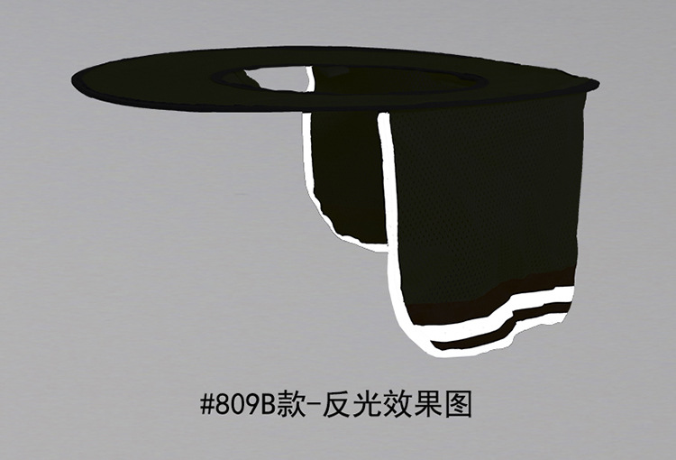 #809B 750点 (4)