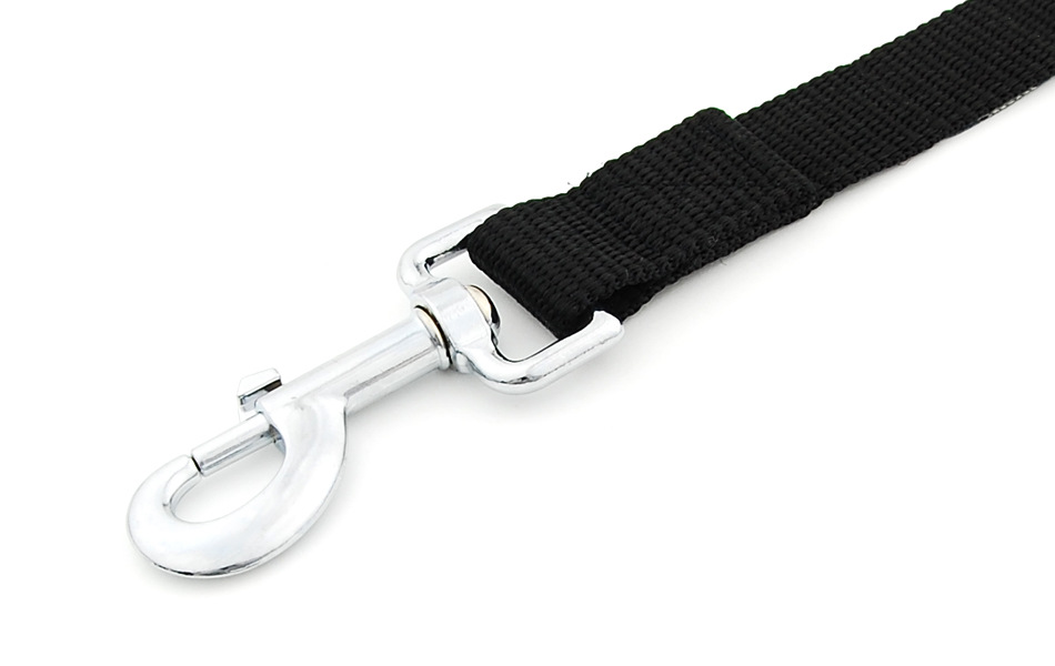 pet products classic leash sho