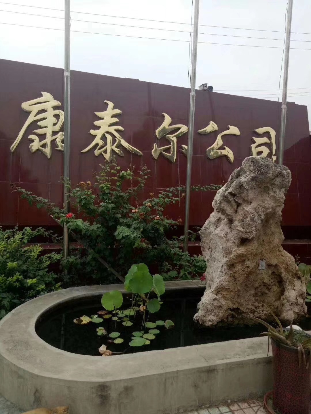 微信图片_20201116135212