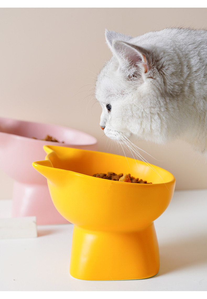 陶瓷猫碗_11_副本.jpg
