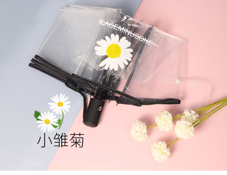 小雏菊伞_02.jpg