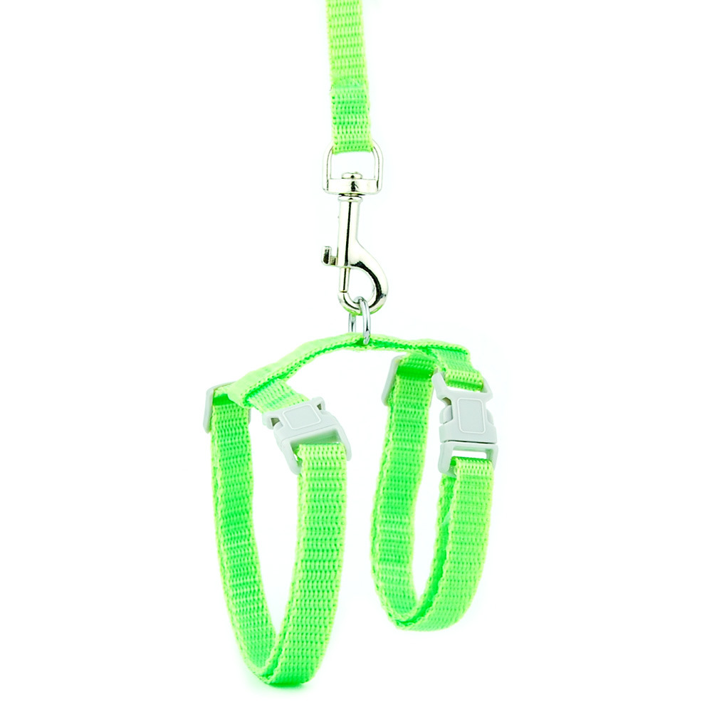 cat harness leash solid green.