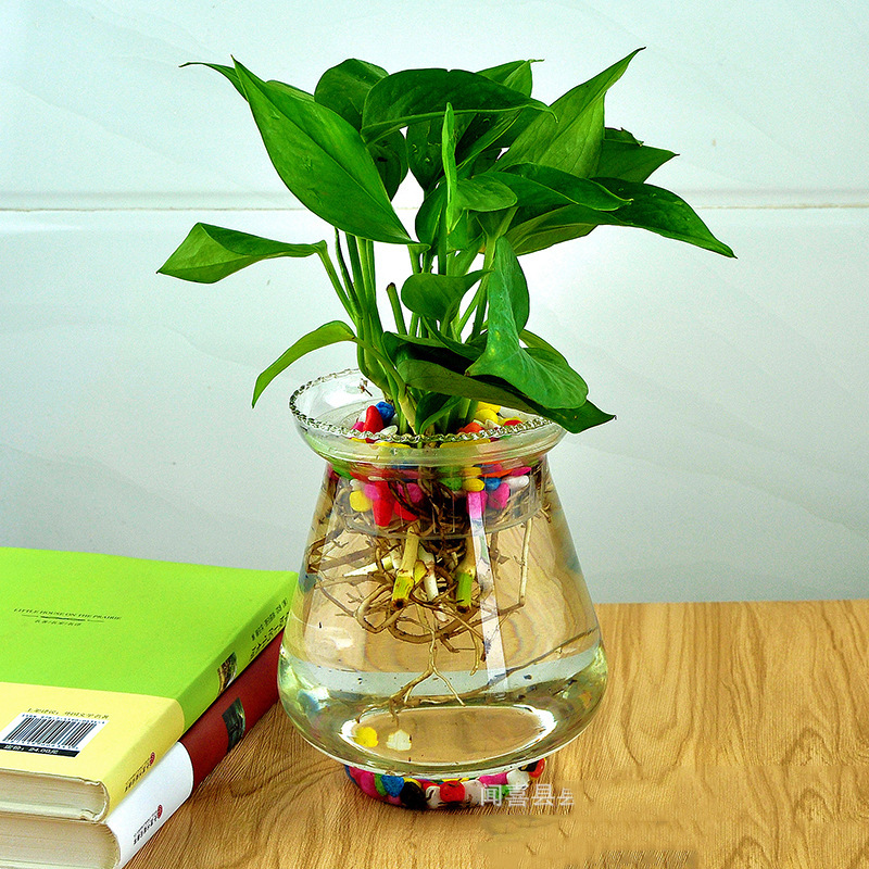 8804198119_151018574