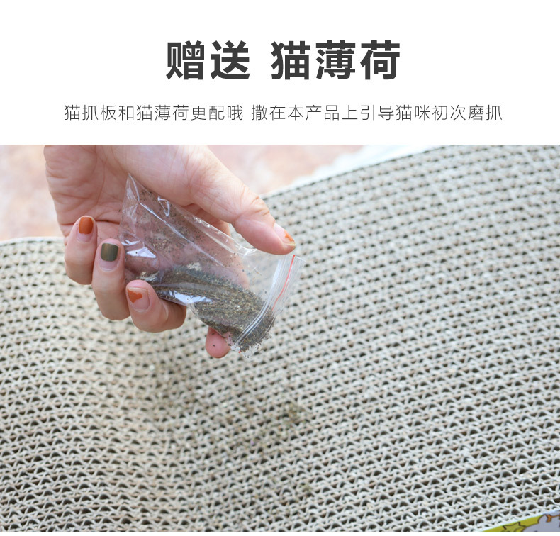 猫抓板_09.jpg