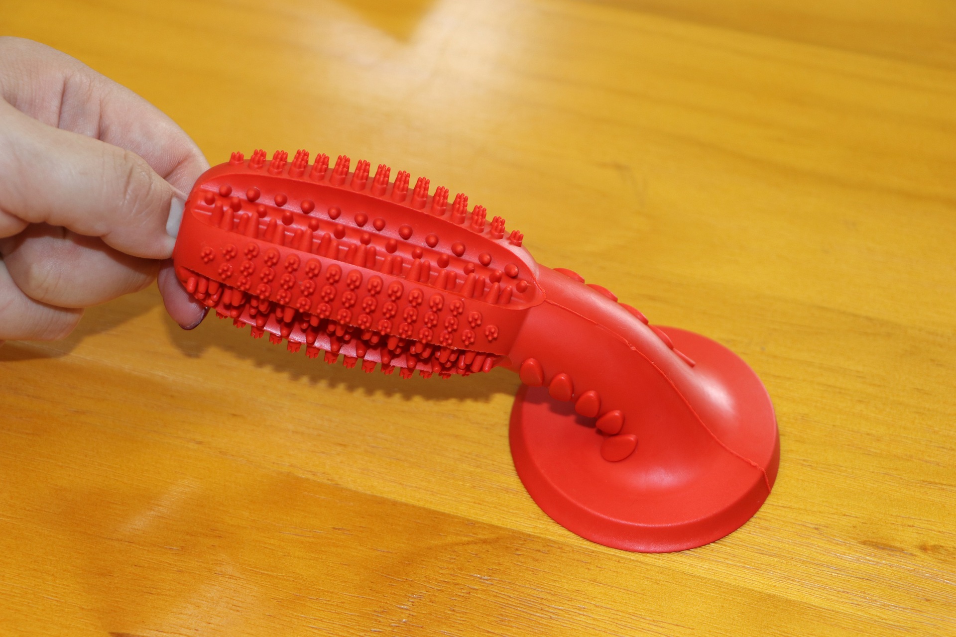 ER070 Dental Stick Osculum 6.5