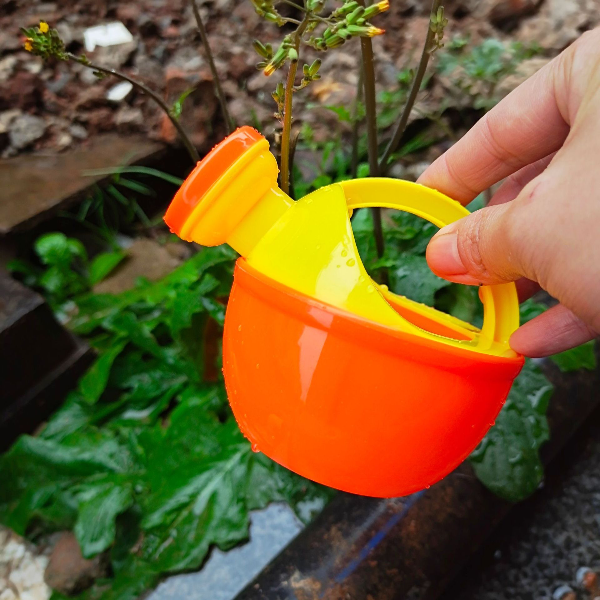 74C2058D061ACD64EF669E9FF3D79B