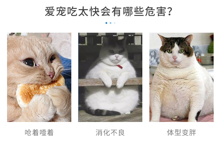 详情_04.jpg