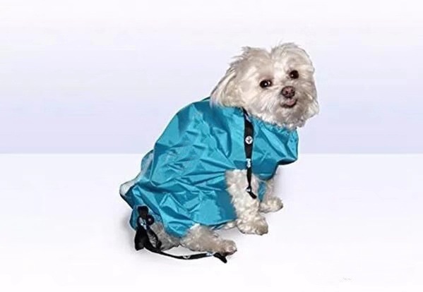 微信图片_20200904204818