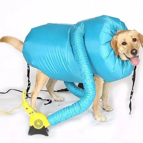 微信图片_20200904204822