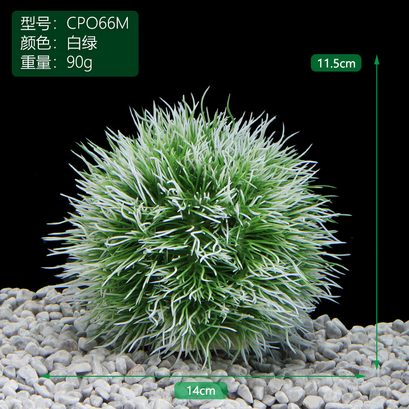 CPO66M白绿.jpg