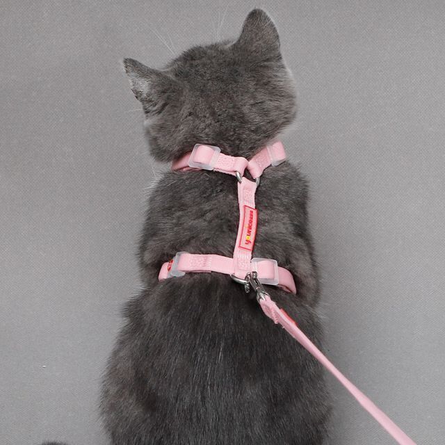 QQ图片20200311112348