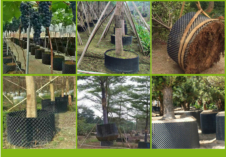 微信图片_20200226211719