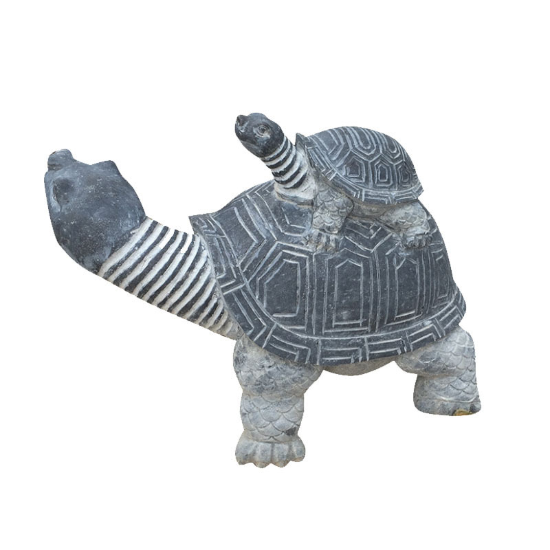 乌龟2-2.jpg