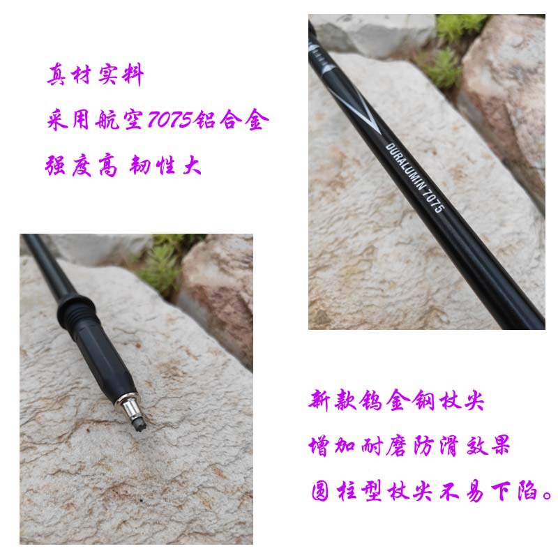 杖尖 拷贝