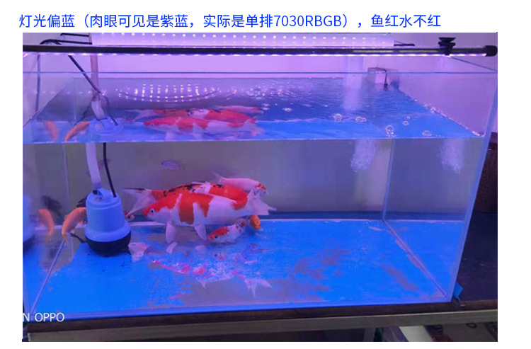 阿里鱼缸灯2020820_31.jpg