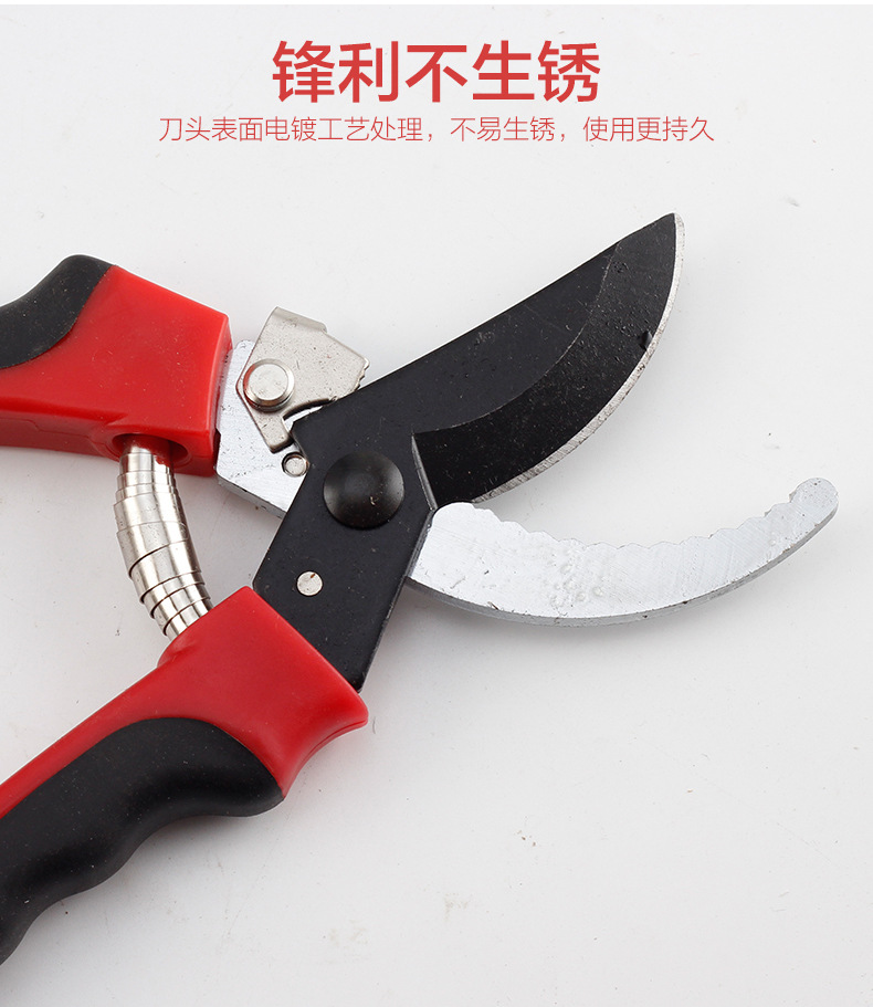 园林剪刀1_04.jpg