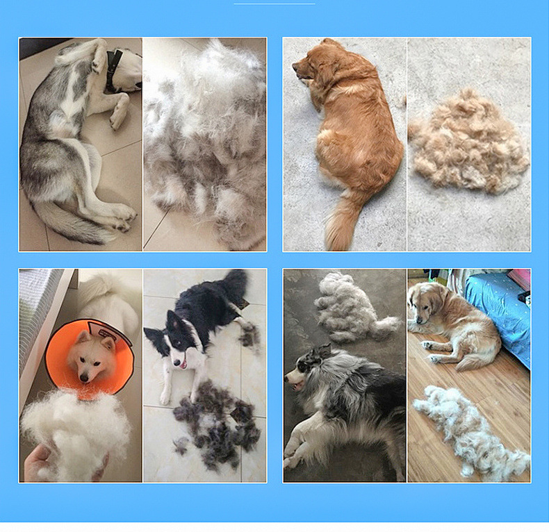 自洁脱毛梳主页 (14)