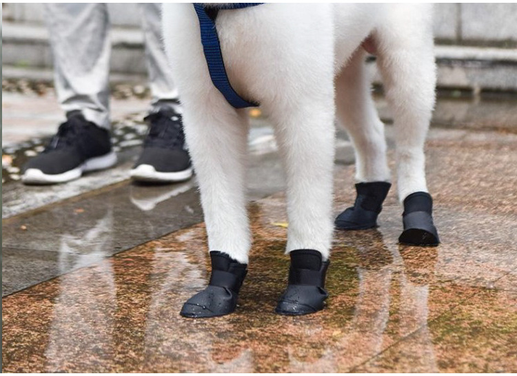 硅胶宠物鞋套详情_08.jpg