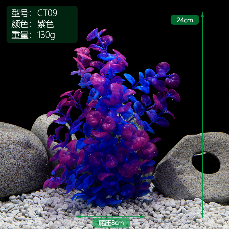 CT009紫色.jpg