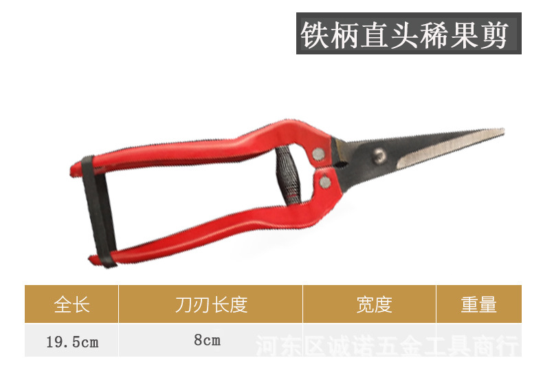 O1CN01xHOAG21ssyojnw8xN_!!3408