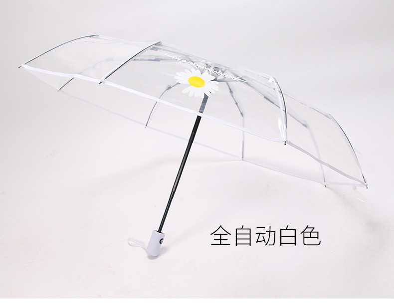 小雏菊伞_07.jpg