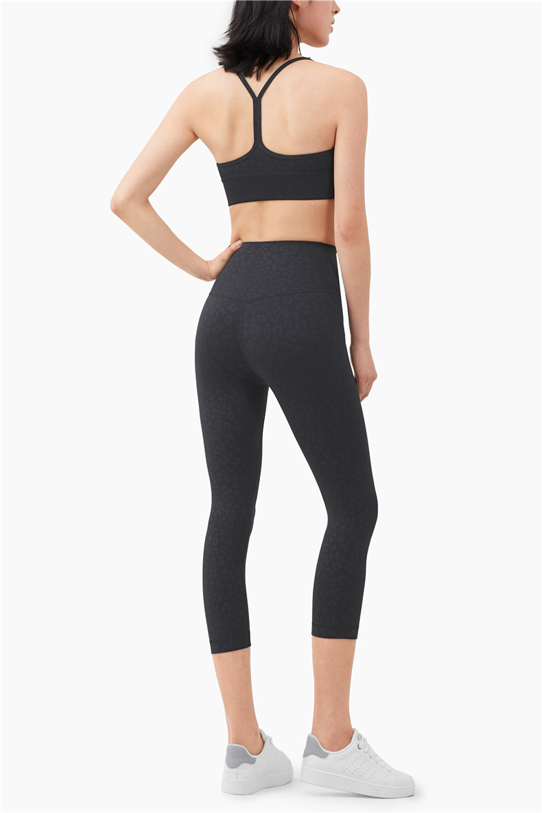 无题目录 06795.jpg