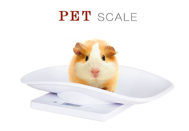 12410718362_1818765427_06.jpg?x-oss-process=image/format,png