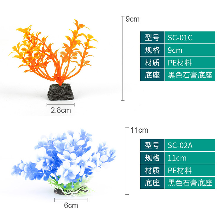 水草-详情750_10.jpg
