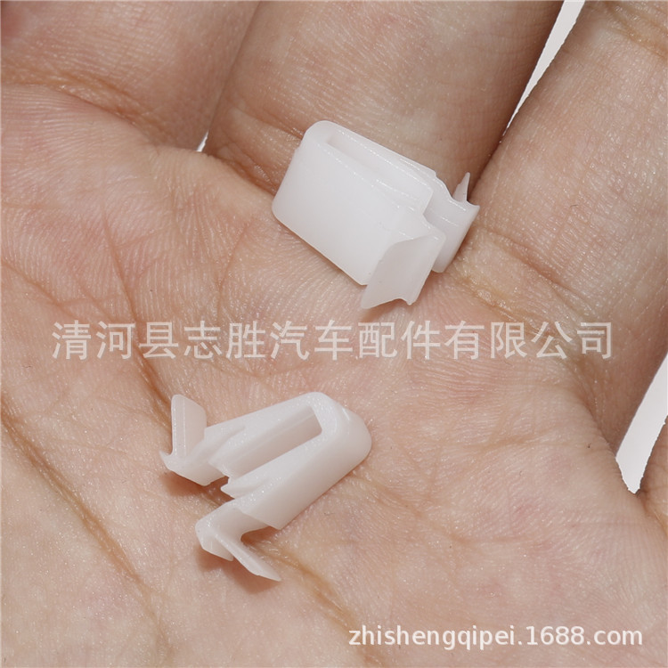 ZK-013-中控+金杯海狮 (3).JPG