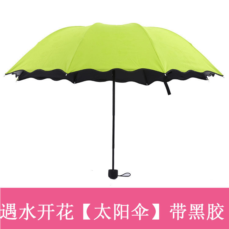 15558032328_863435212