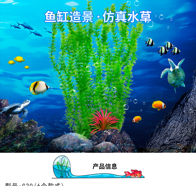 详情_01.jpg