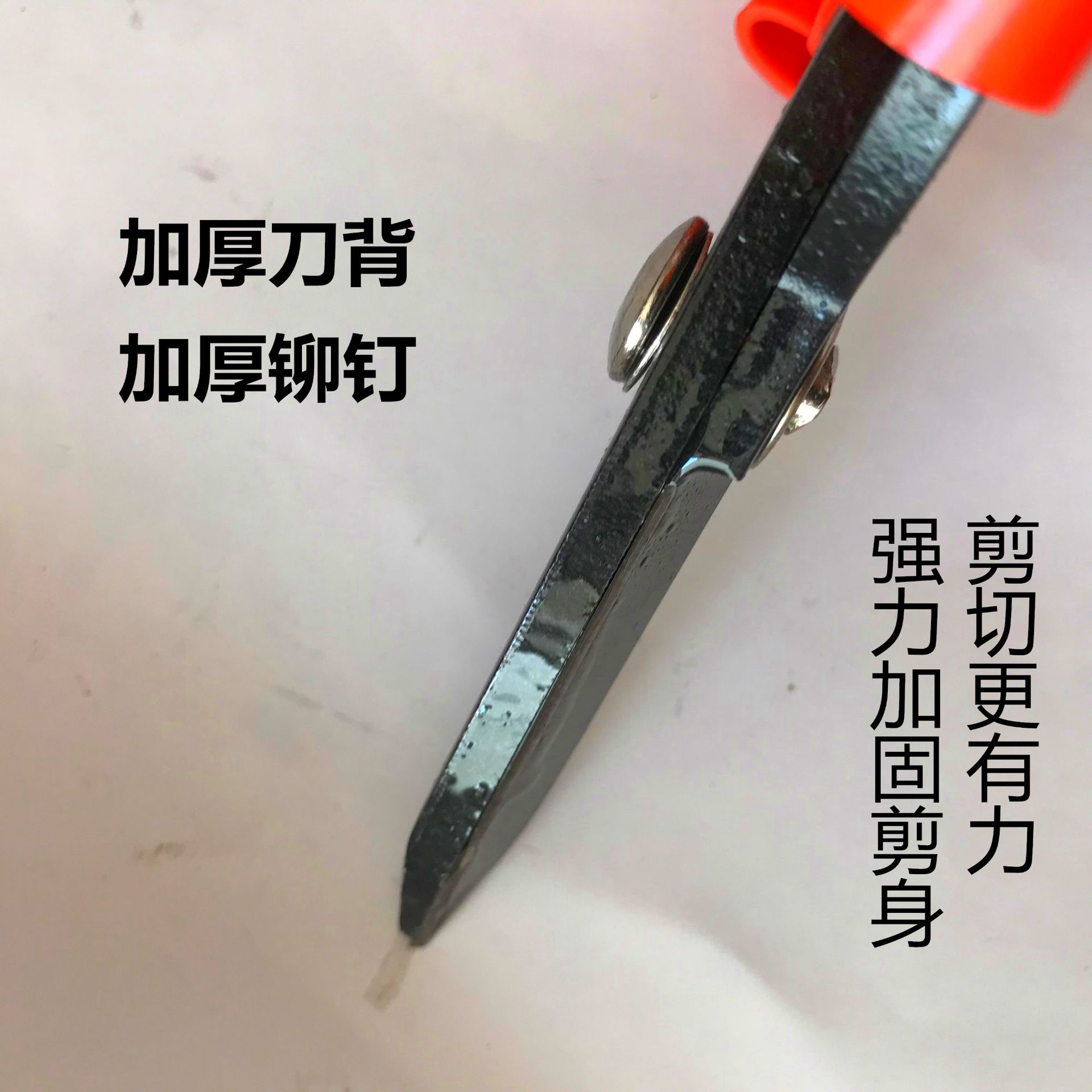 微信图片_2020051816332252_副本_副本.jp