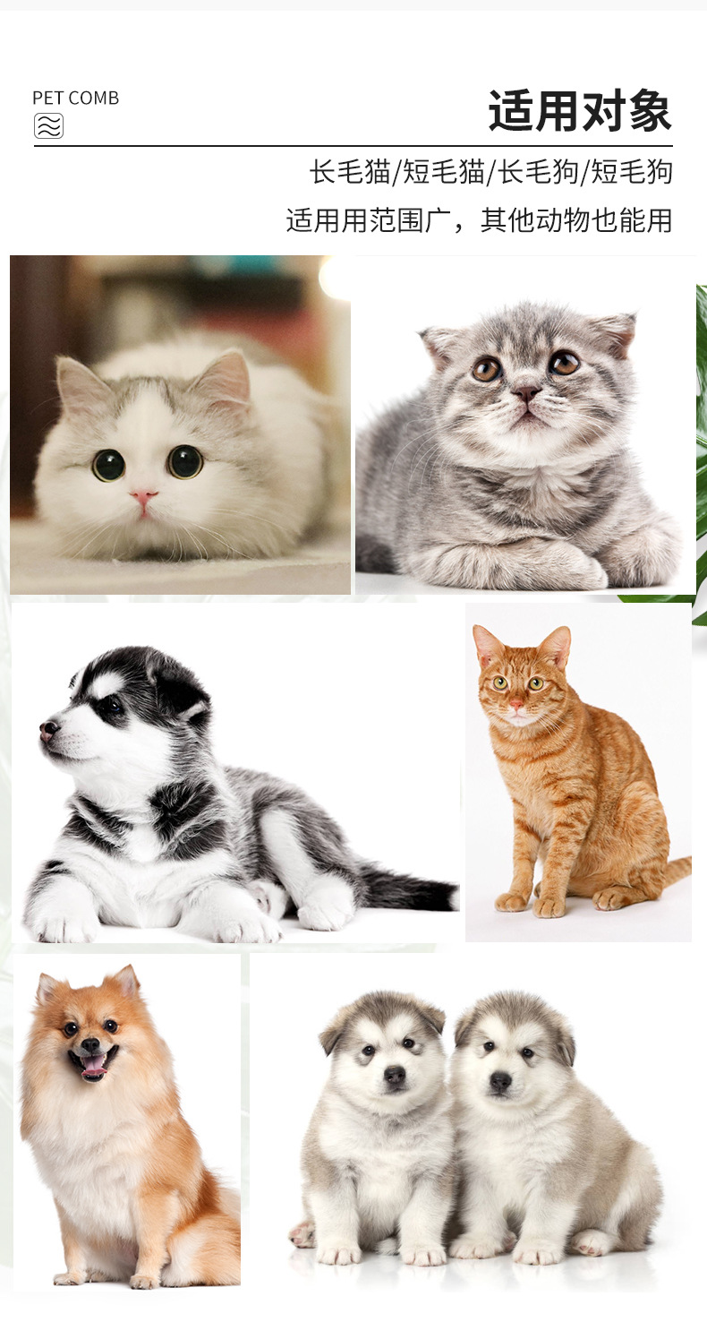 宠物梳子8_06