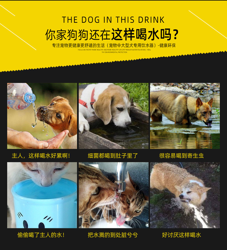 大型犬水壶_02.jpg
