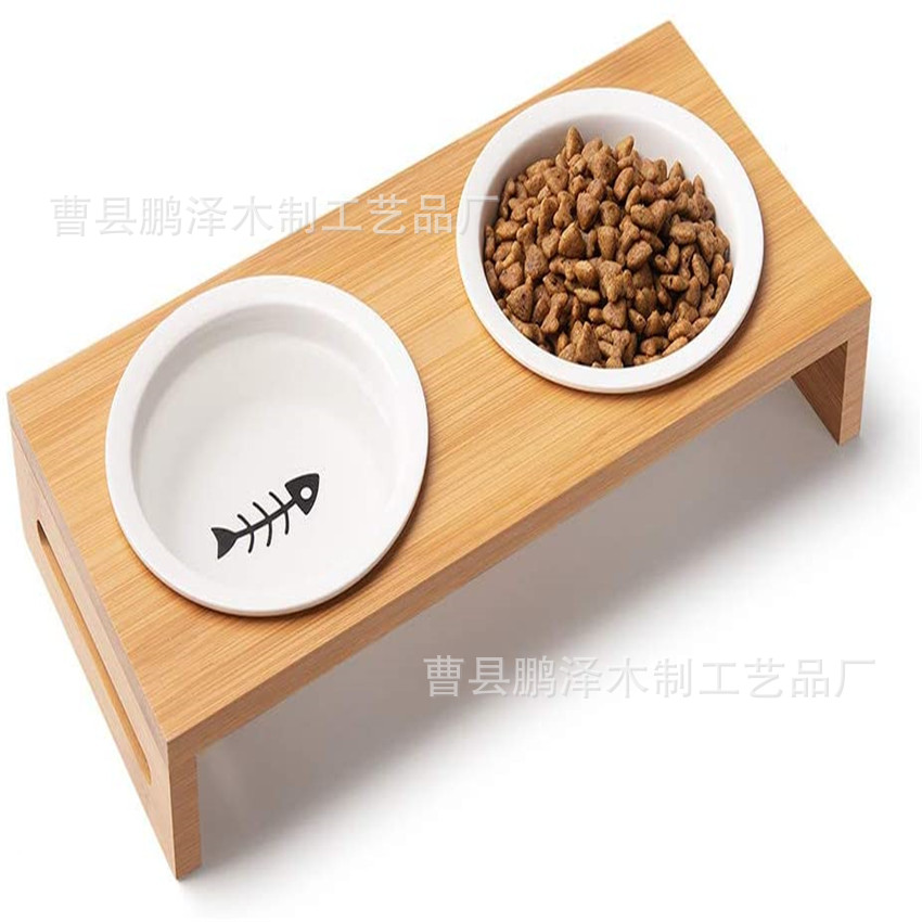 51UXxpk-p2L._AC_SL1000_