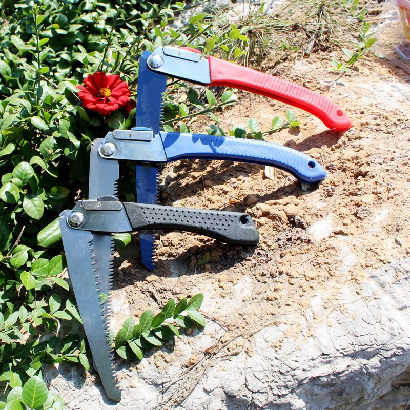 10387446452_557681559