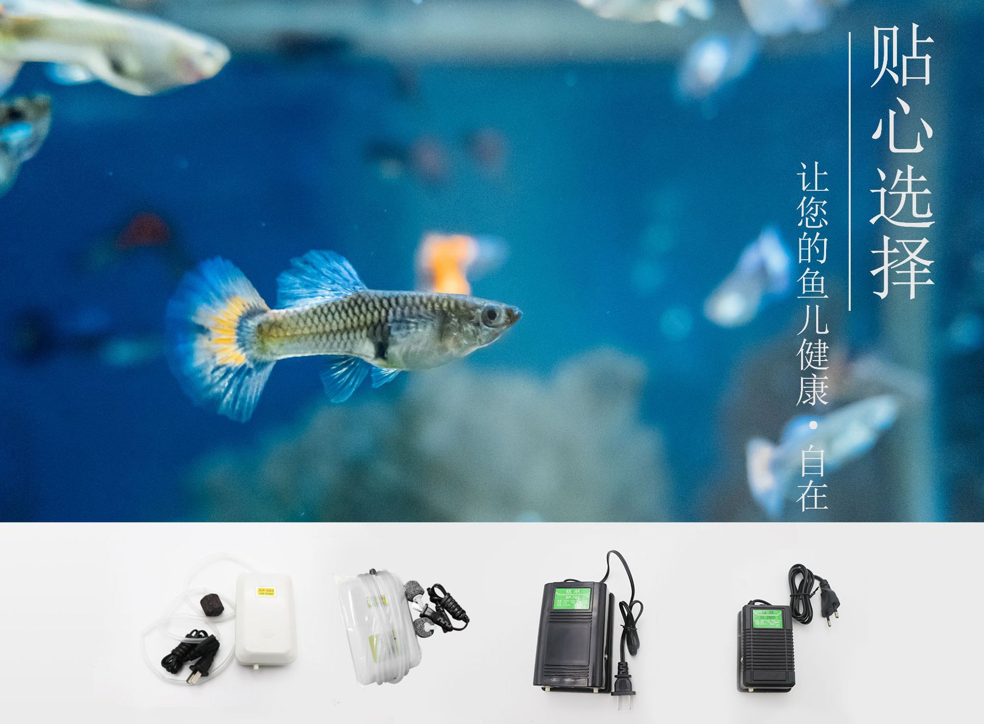 增氧泵效果图.jpg