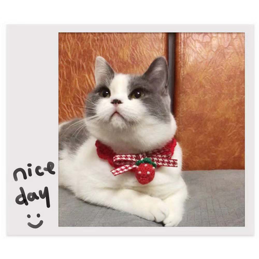 微信图片_20201117185115