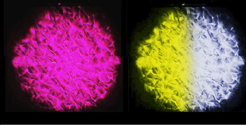 F-_20198阿里店铺产品_10瓦-40瓦水纹灯_imag