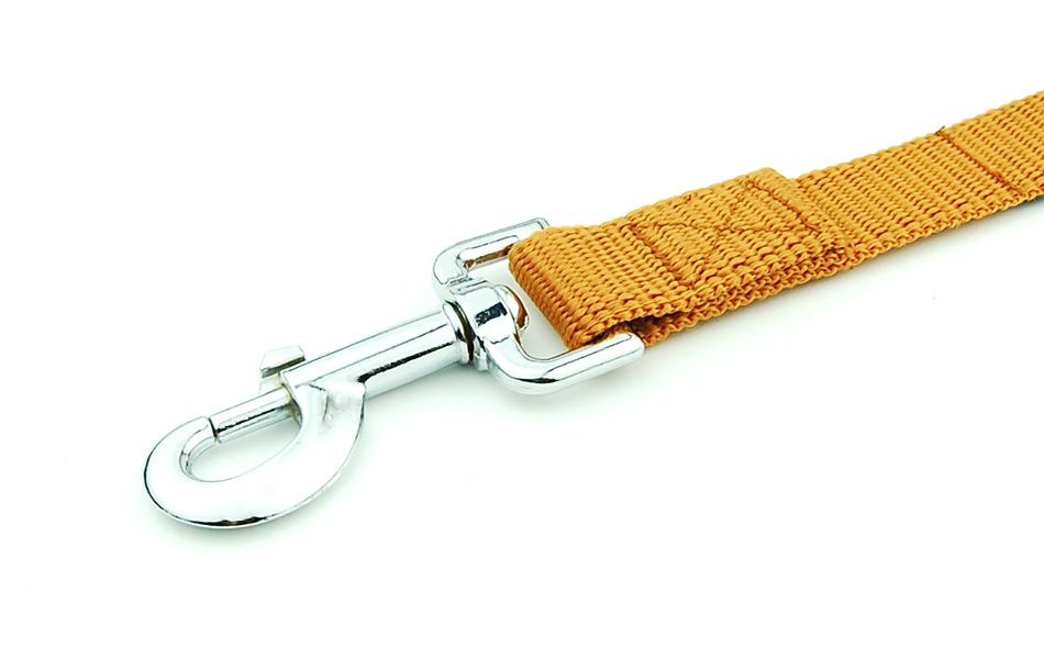 pet products classic leash sho