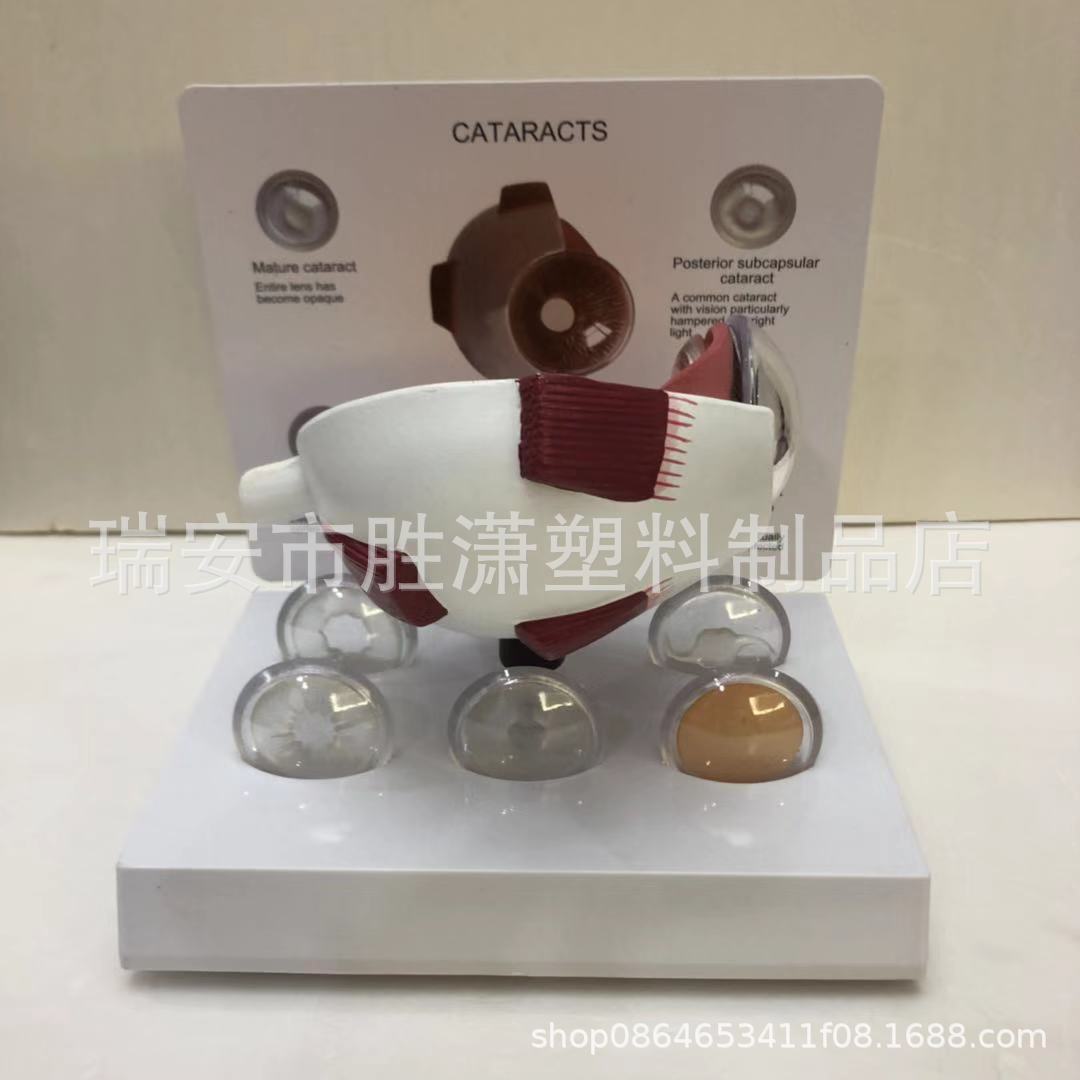 c5efe8be5e69ead57953981c511900