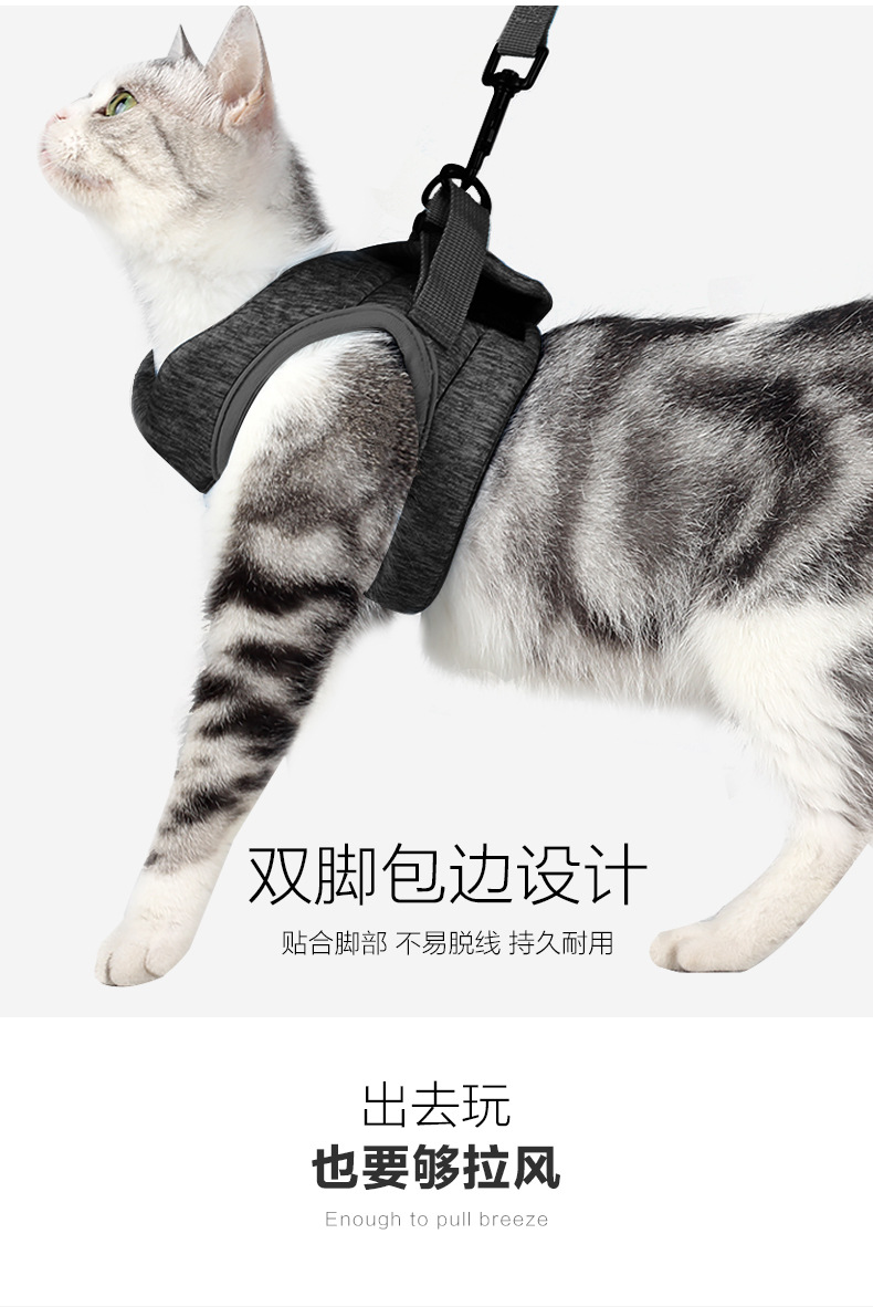 猫背带_09.jpg