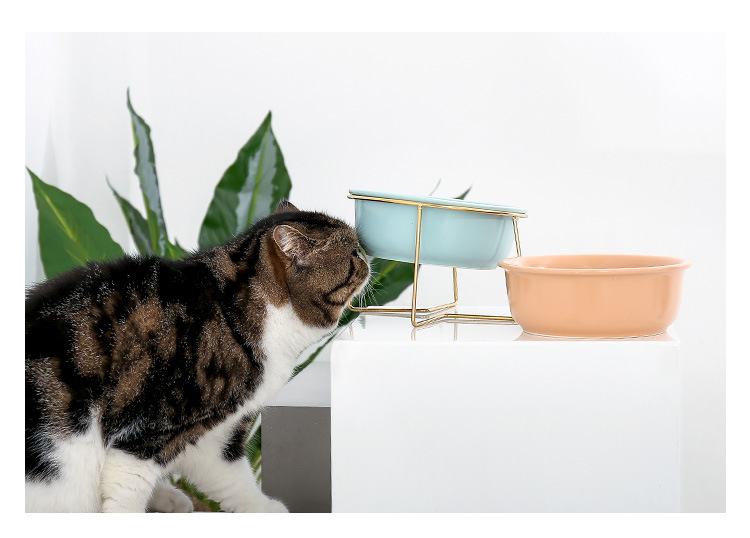 金架圆边猫碗_14.jpg