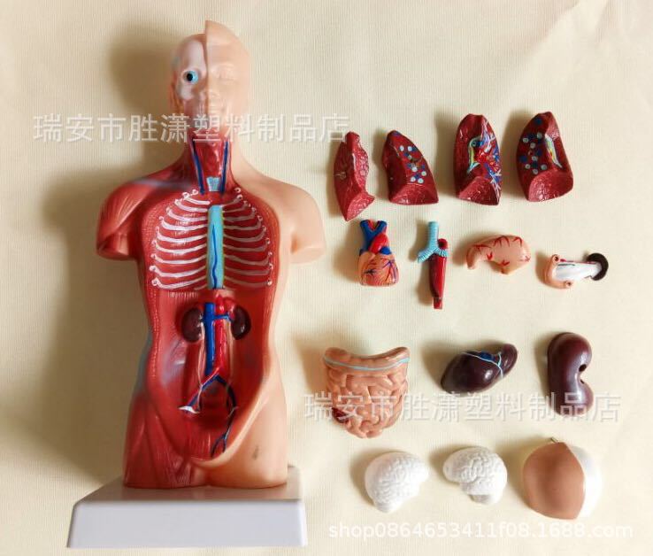 a81130b1f3b12491ac139522d2c2f3