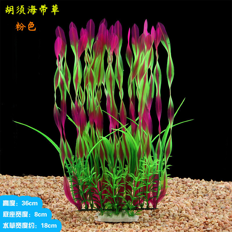 胡须海带草粉色