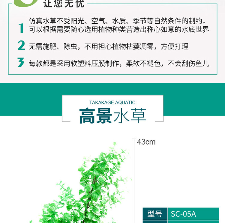 水草-详情750_03.jpg