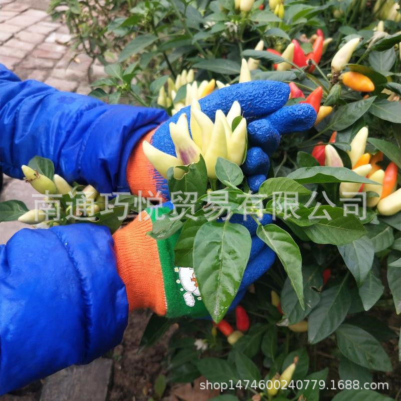 微信图片_20201026221524_副本